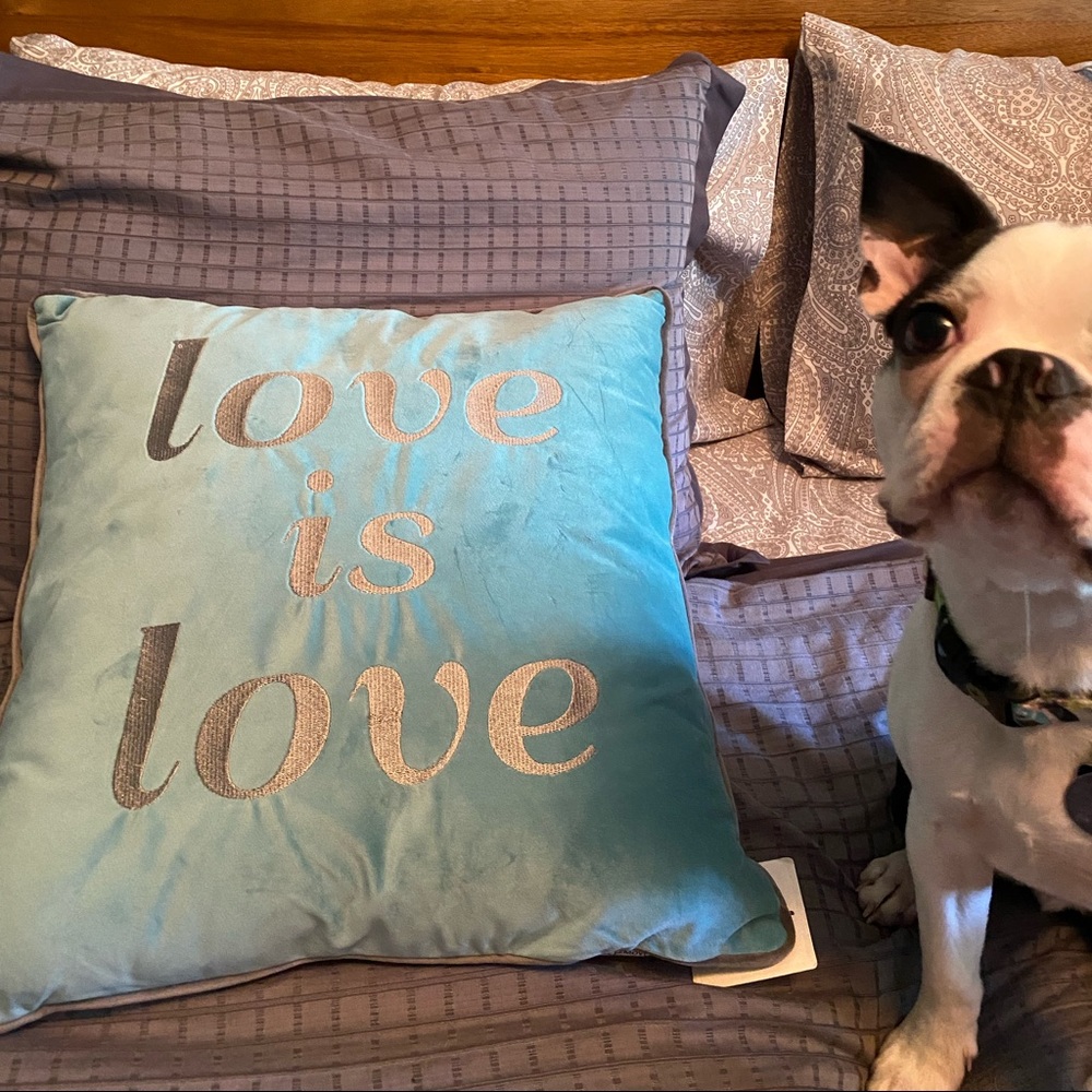 Square “Love is Love” throw pillow. NWT